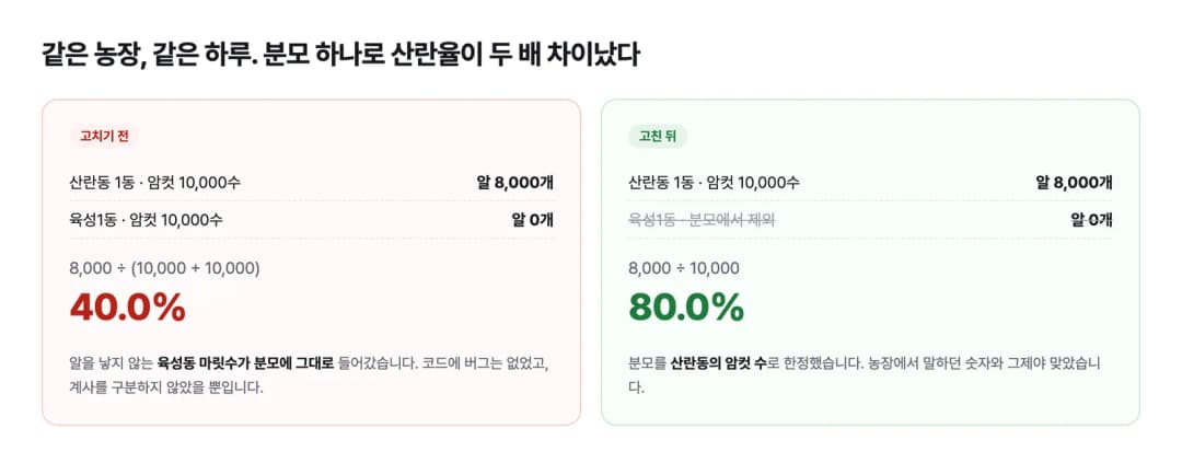 육성동을 분모에 포함했을 때 40%, 제외했을 때 80%로 갈린 산란율 계산 비교